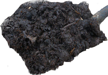 Composting manure